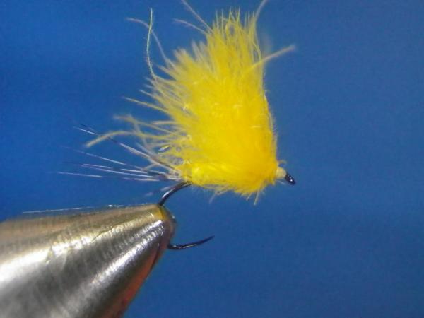 LW's Light Cahill F-Plus
