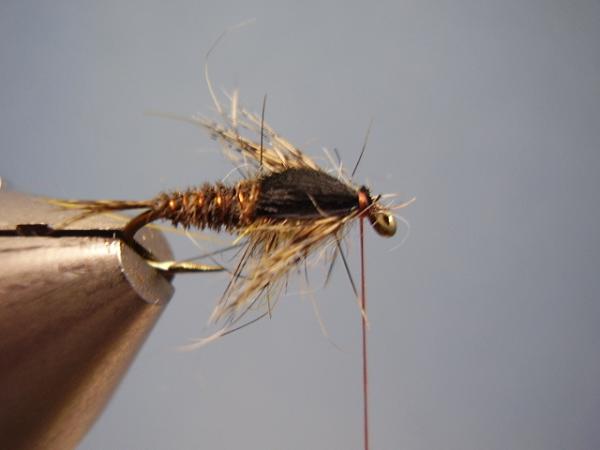 LW's Dark Quill Sulphur