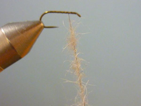 LW's Q-Tip