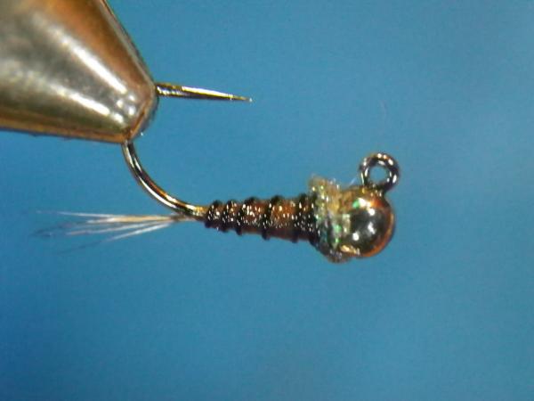 LW's Intestinal Bug