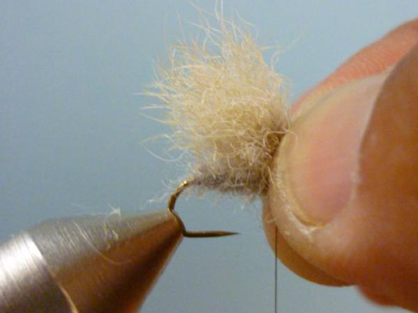 LW's Q-Tip
