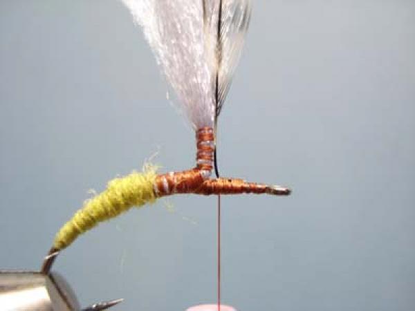 Olive Klinkhamer Special