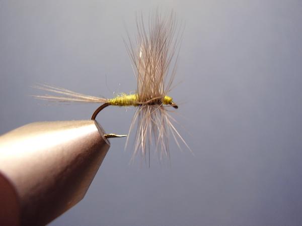 Blue-Winged Olive Catskill