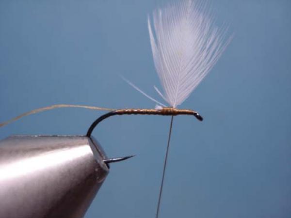 Hen Wing Sulphur Spinner