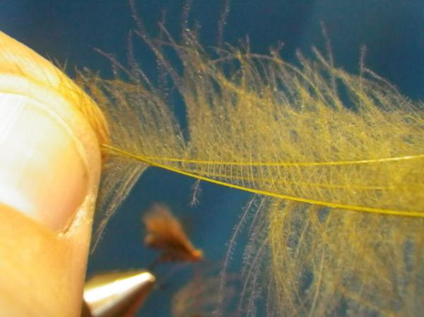 LW's F-Plus Caddis