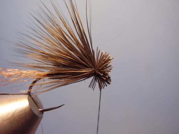 Grannom X-Caddis