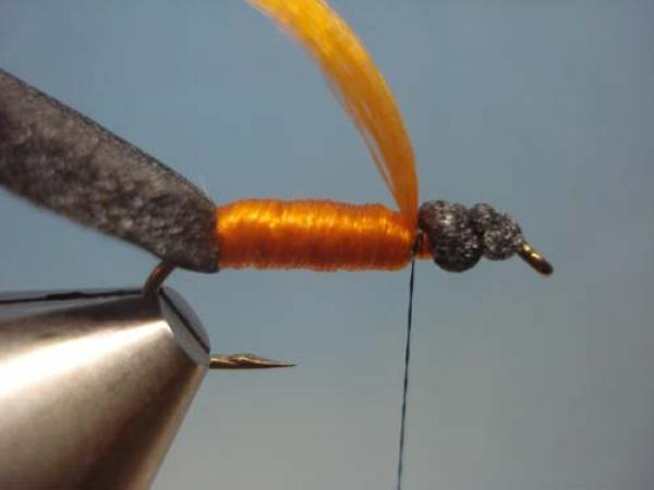 LW's Periodical Cicada