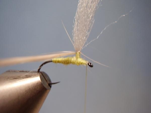 Sulphur Parachute