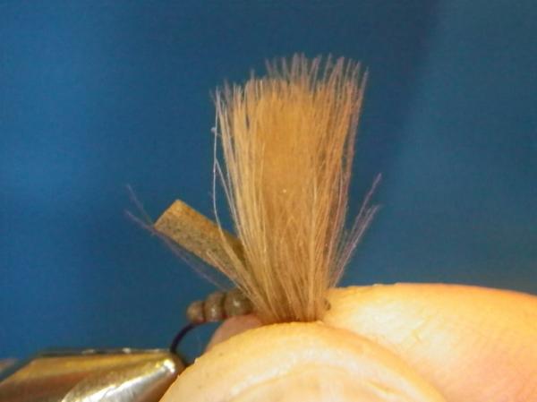 LW's F-Plus Caddis