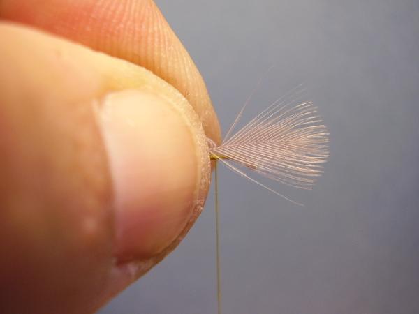 Blue-Winged Olive Catskill
