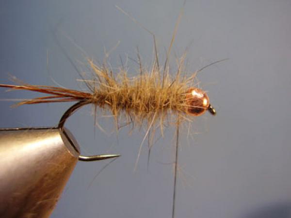 Hare and Copper