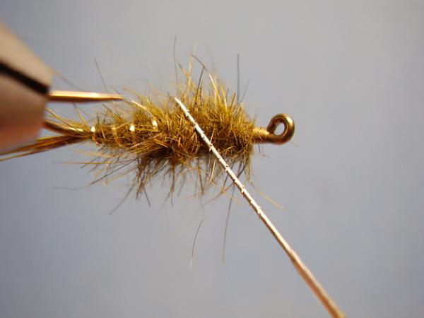 Olive Gold-Ribbed Hares Ear