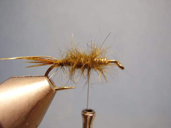 Olive Gold-Ribbed Hares Ear