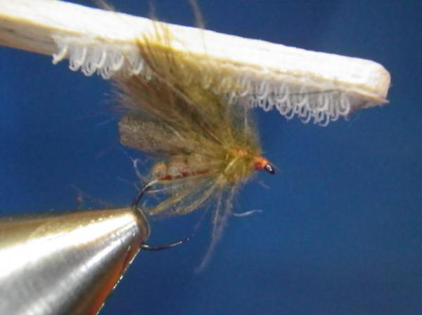 LW's F-Plus Caddis