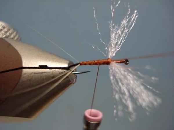 Poly Wing Rusty Spinner