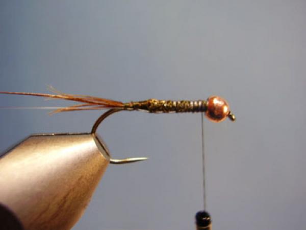 Hare and Copper
