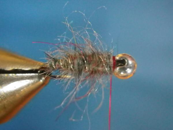 Egan's Tungsten Tailwater Sow Bug