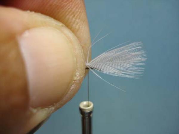 Hen Wing Sulphur Spinner