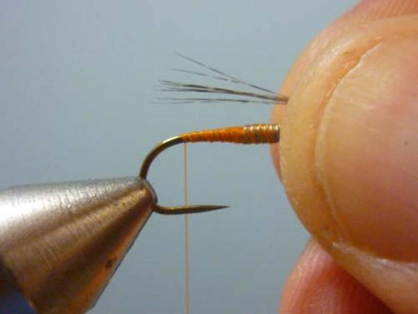 LW's Orange BB
