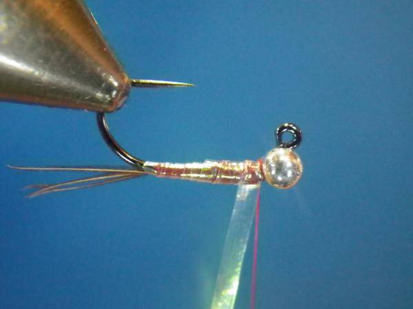 Egan's Pearl Rainbow Warrior