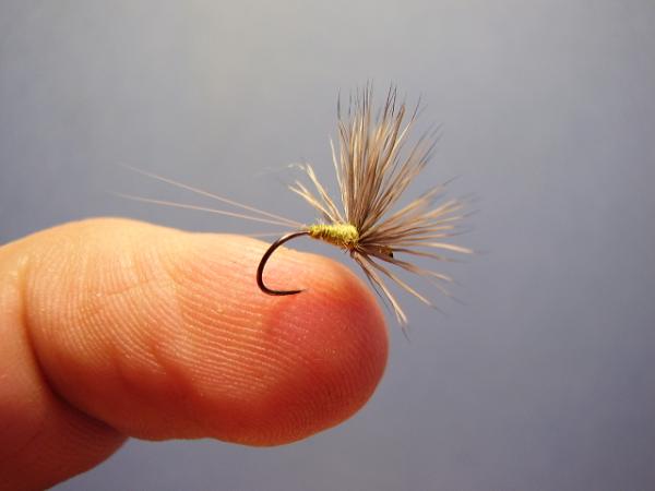 Blue-Winged Olive Comparadun