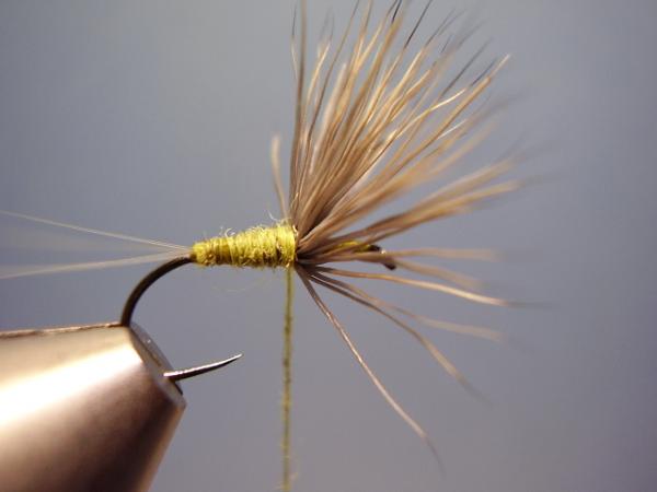 Blue-Winged Olive Comparadun