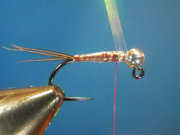 Egan's Pearl Rainbow Warrior