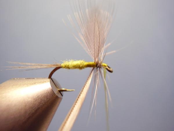 Blue-Winged Olive Catskill