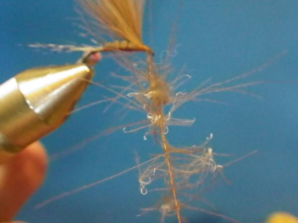 LW's Isonychia F-Plus