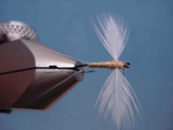 Hen Wing Sulphur Spinner