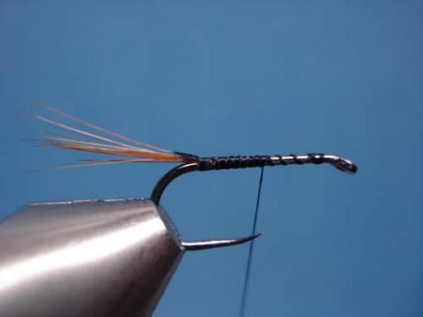 Pheasant Tail Cruncher