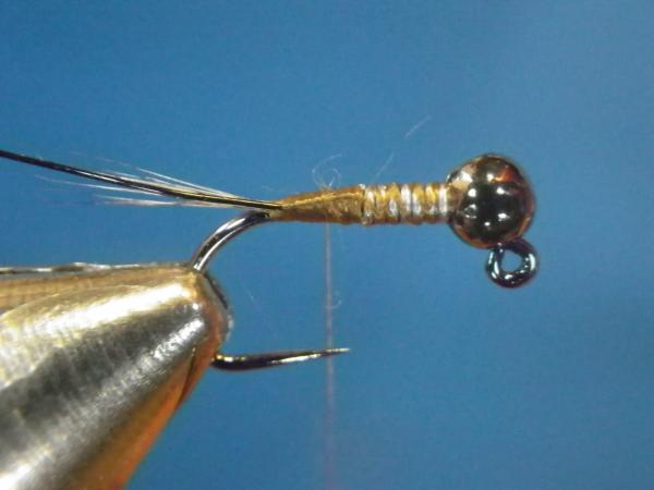 LW's Intestinal Bug