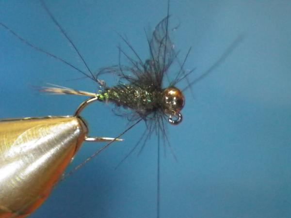 LW's Itchy