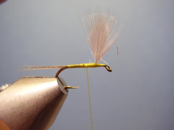 Blue-Winged Olive Catskill