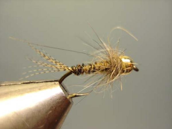 LW's Light Quill Sulphur