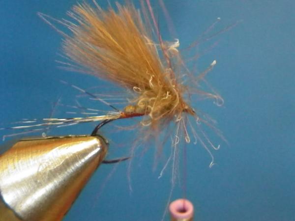 LW's Isonychia F-Plus