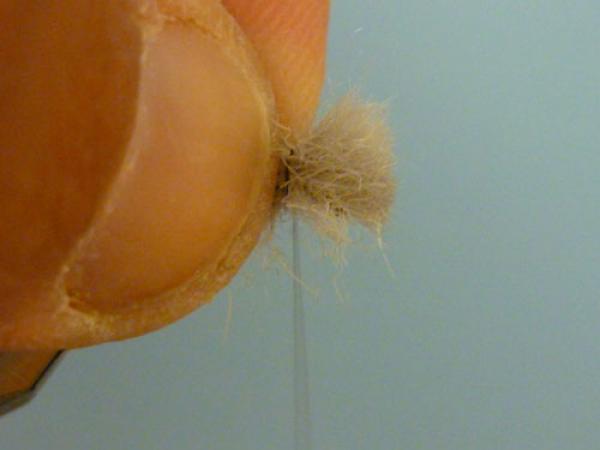 LW's Q-Tip