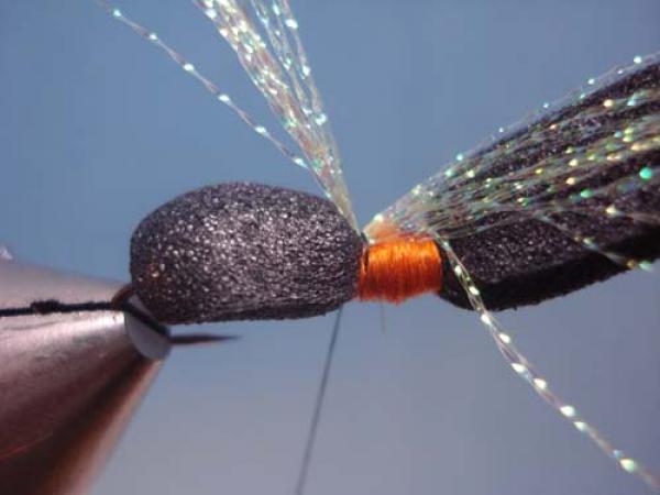 LW's Periodical Cicada