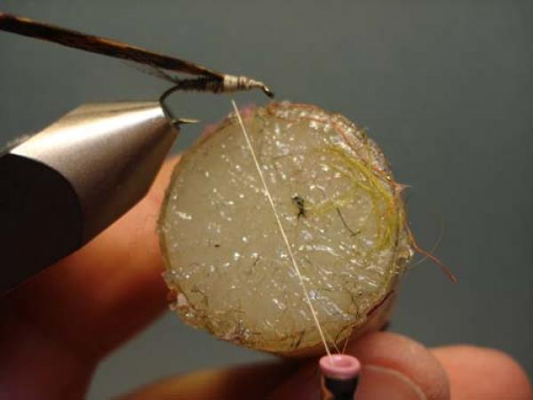 LW's Light Quill Sulphur
