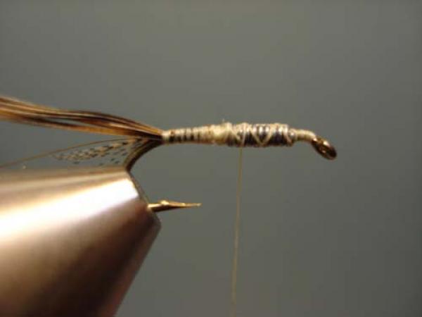 LW's Light Quill Sulphur