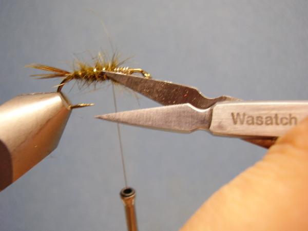 Olive Gold-Ribbed Hares Ear