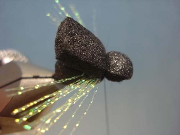 LW's Periodical Cicada