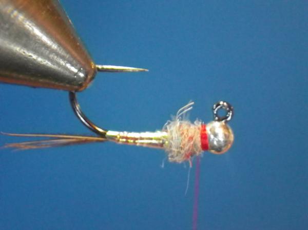 Egan's Pearl Rainbow Warrior