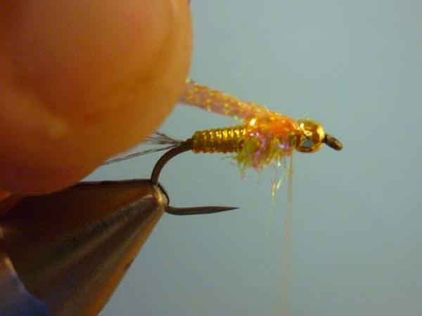 LW's Orange BB
