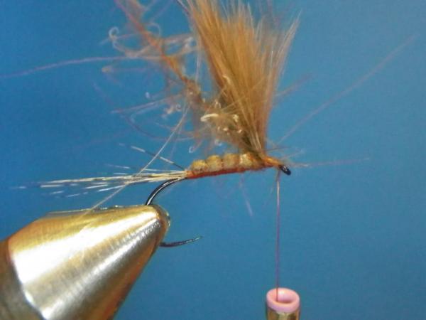 LW's Isonychia F-Plus