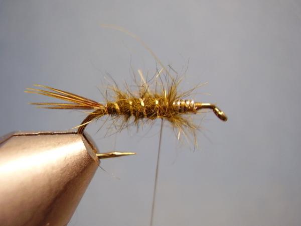 Olive Gold-Ribbed Hares Ear