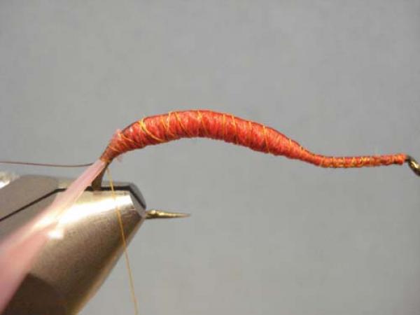Vladi Worm