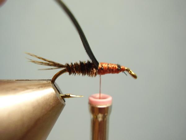 LW's Dark Quill Sulphur