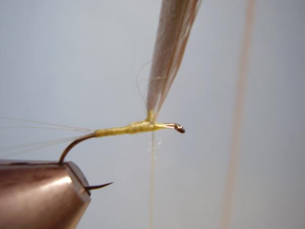 Sulphur Parachute