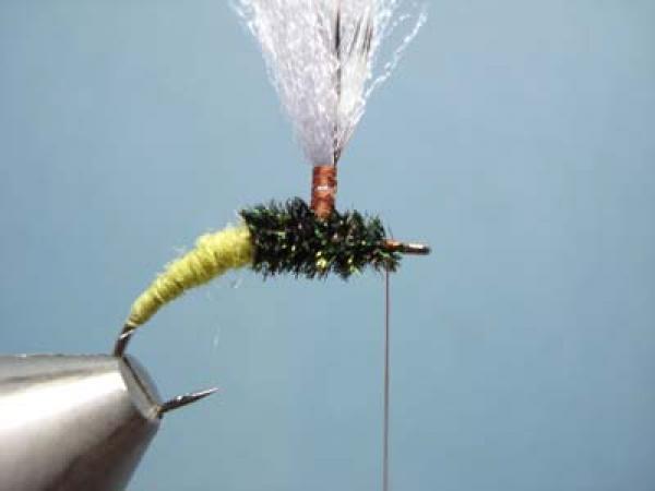 Olive Klinkhamer Special